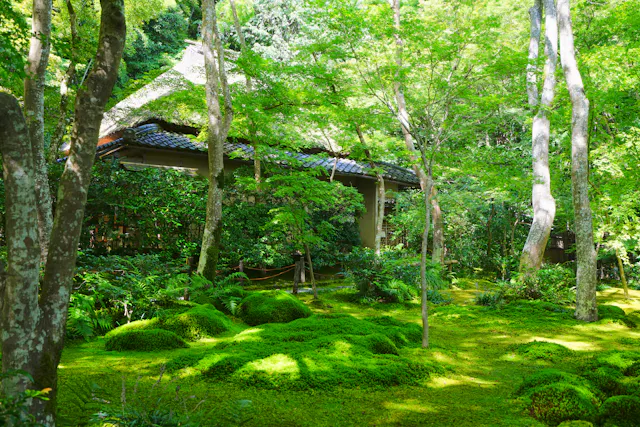 A traditional Japanese house with a tiled roof is surrounded by lush green trees and moss-covered ground in a peaceful garden setting. Sunlight filters through the leafy canopy, creating a serene and tranquil atmosphere.