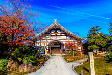 A traditional Japanese temple with a curved roof stands amid autumn trees with red and green foliage, under a clear blue sky with wispy clouds. A stone path leads to the entrance.