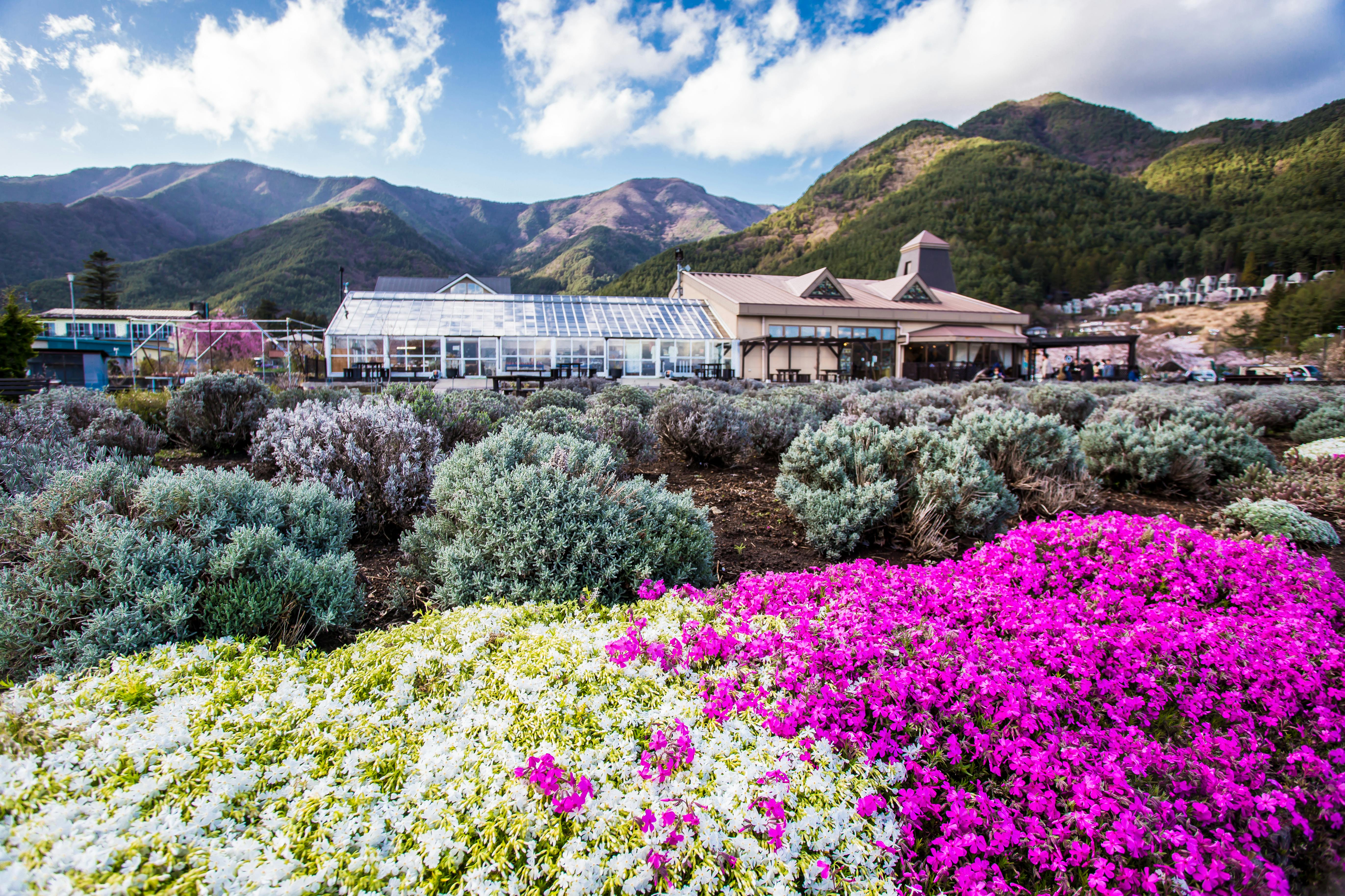 Kawaguchiko Natural Living Center