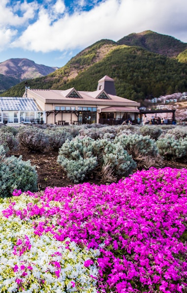 Kawaguchiko Natural Living Center Kawaguchiko Natural Living Center