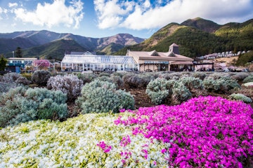 Kawaguchiko Natural Living Center