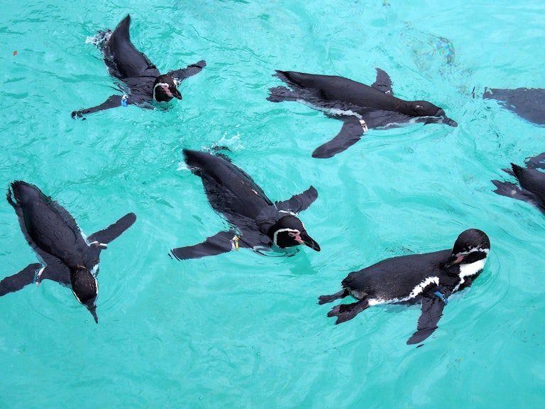 Tokyo Sea Life Park