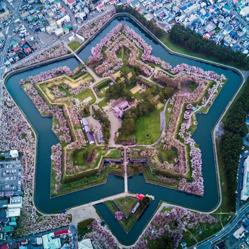 Hokkaido's Cherry Blossoms Hokkaido's Cherry Blossoms