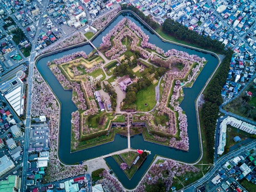 Hokkaido's Cherry Blossoms