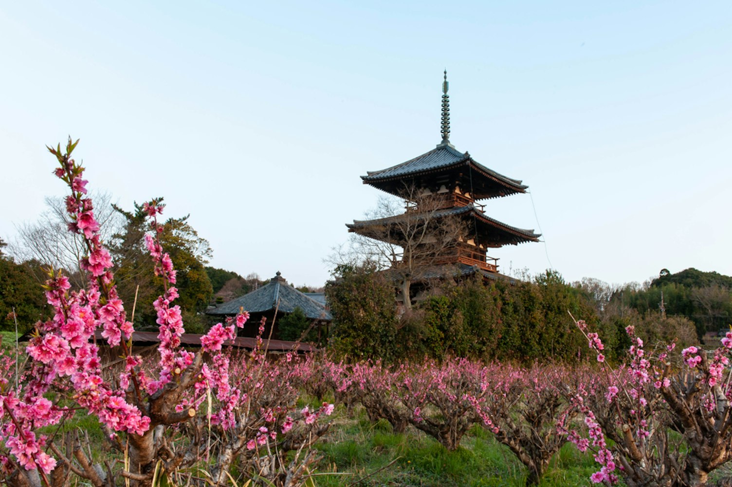 Hokiji Temple