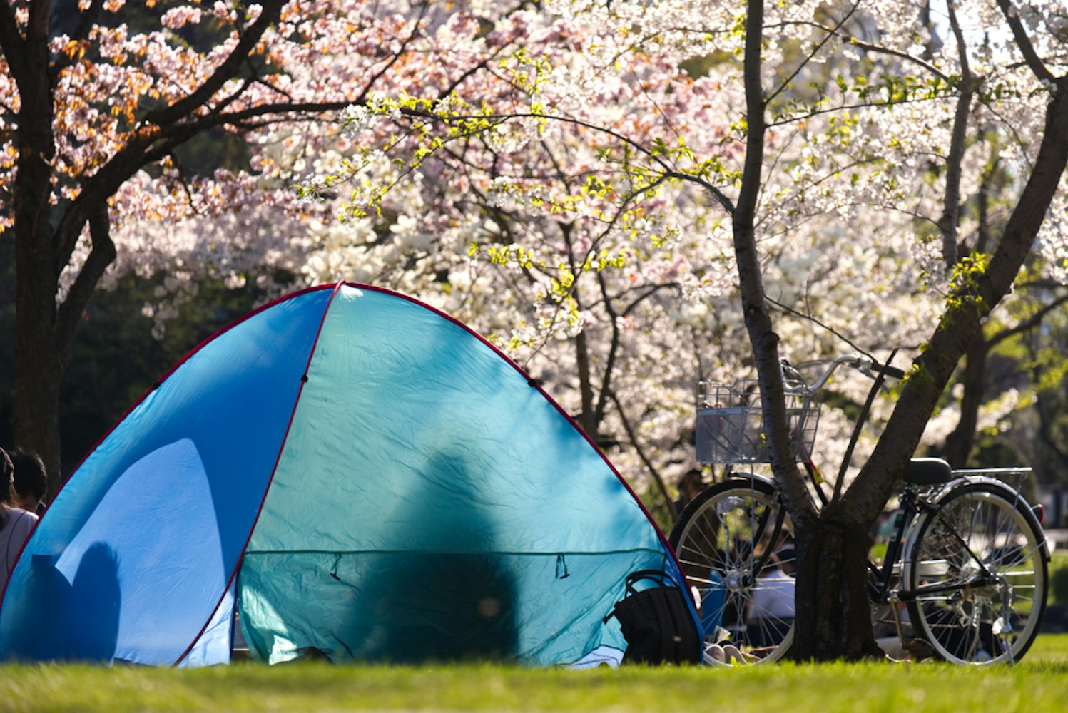 Nakajima Park