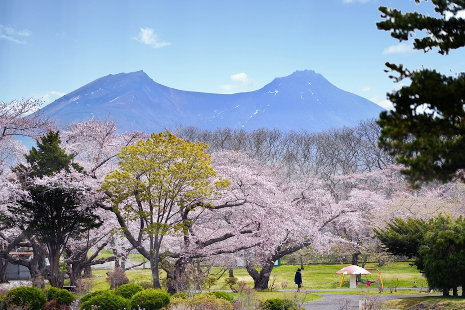 Morimachi Oniushi Park