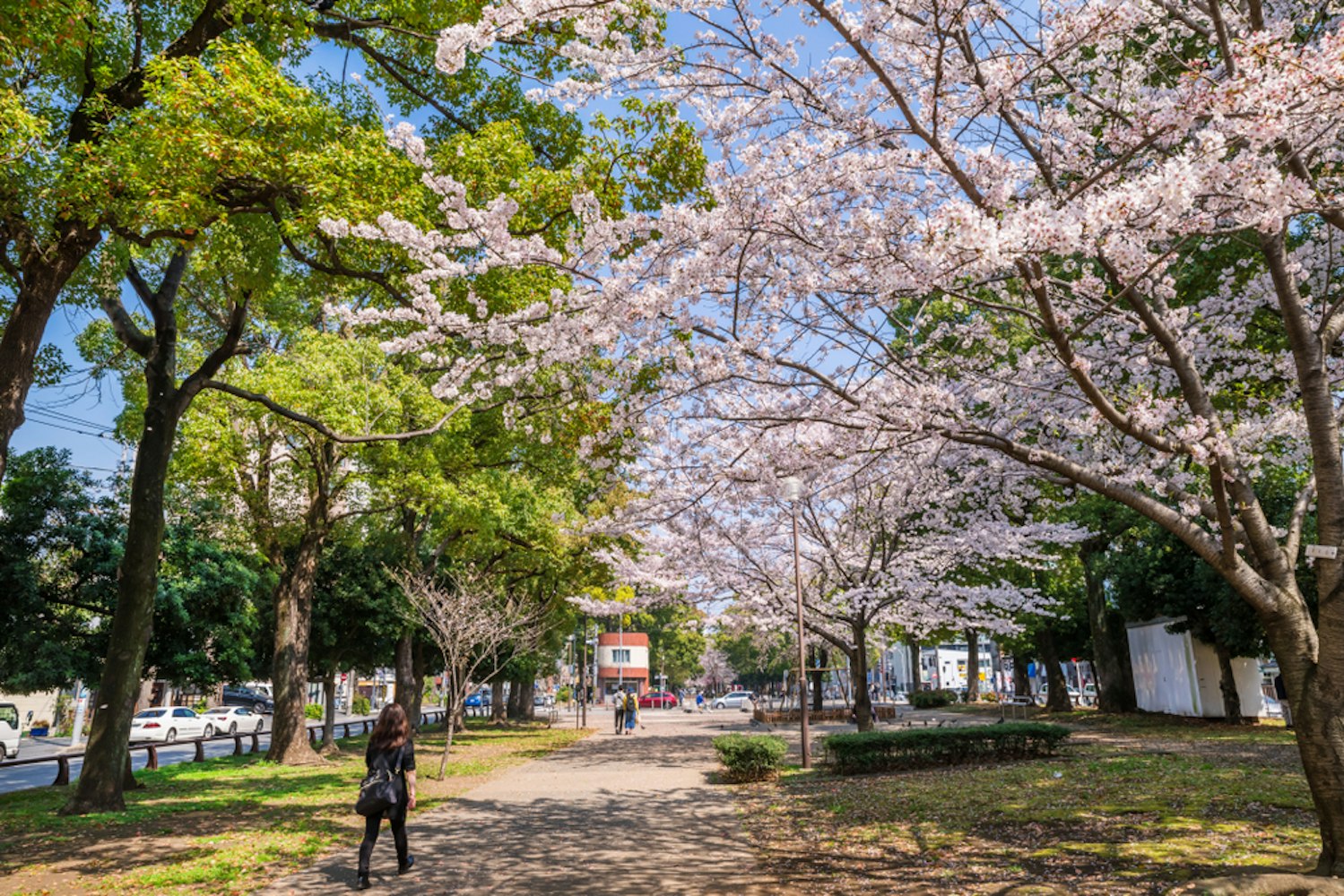 Odori Park