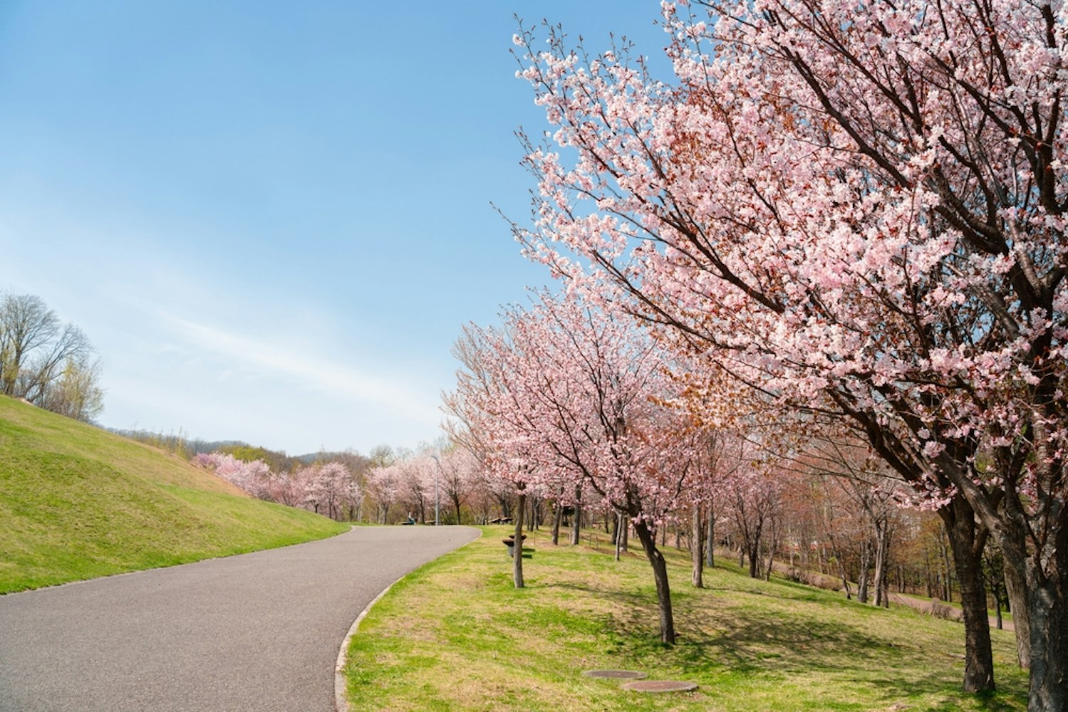 Asahiyama Park