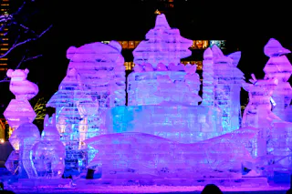 Large, intricate ice sculptures of animals and trees are illuminated with vibrant purple and blue lights at night, creating a magical winter display.