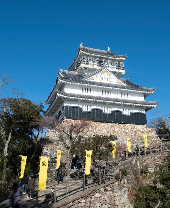 Gifu Castle Gifu overview