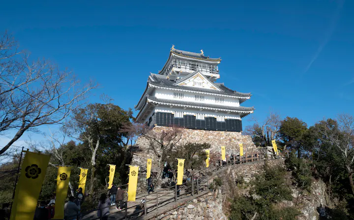Gifu overview