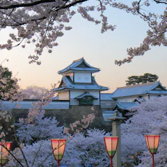 Kanazawa Castle A traditional Japanese castle surrounded by blooming cherry blossom trees, with colorful lanterns in the foreground and a soft pastel sky in the background.