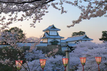 Kanazawa Castle A traditional Japanese castle surrounded by blooming cherry blossom trees, with colorful lanterns in the foreground and a soft pastel sky in the background.