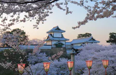 A traditional Japanese castle surrounded by blooming cherry blossom trees, with colorful lanterns in the foreground and a soft pastel sky in the background.