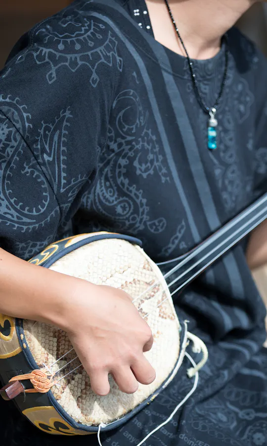 Shamisen Shamisen