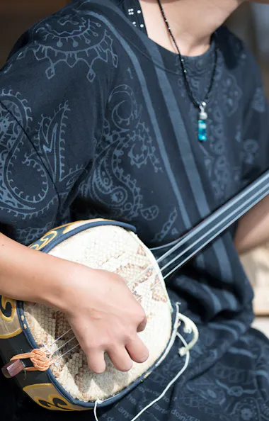Shamisen Shamisen
