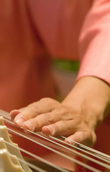 Koto Playing Experience Koto Playing Experience