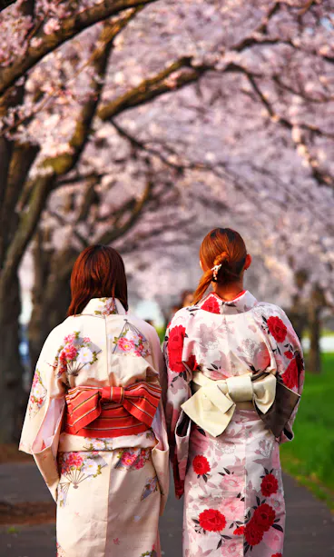 Kimono Dressing Kimono Dressing