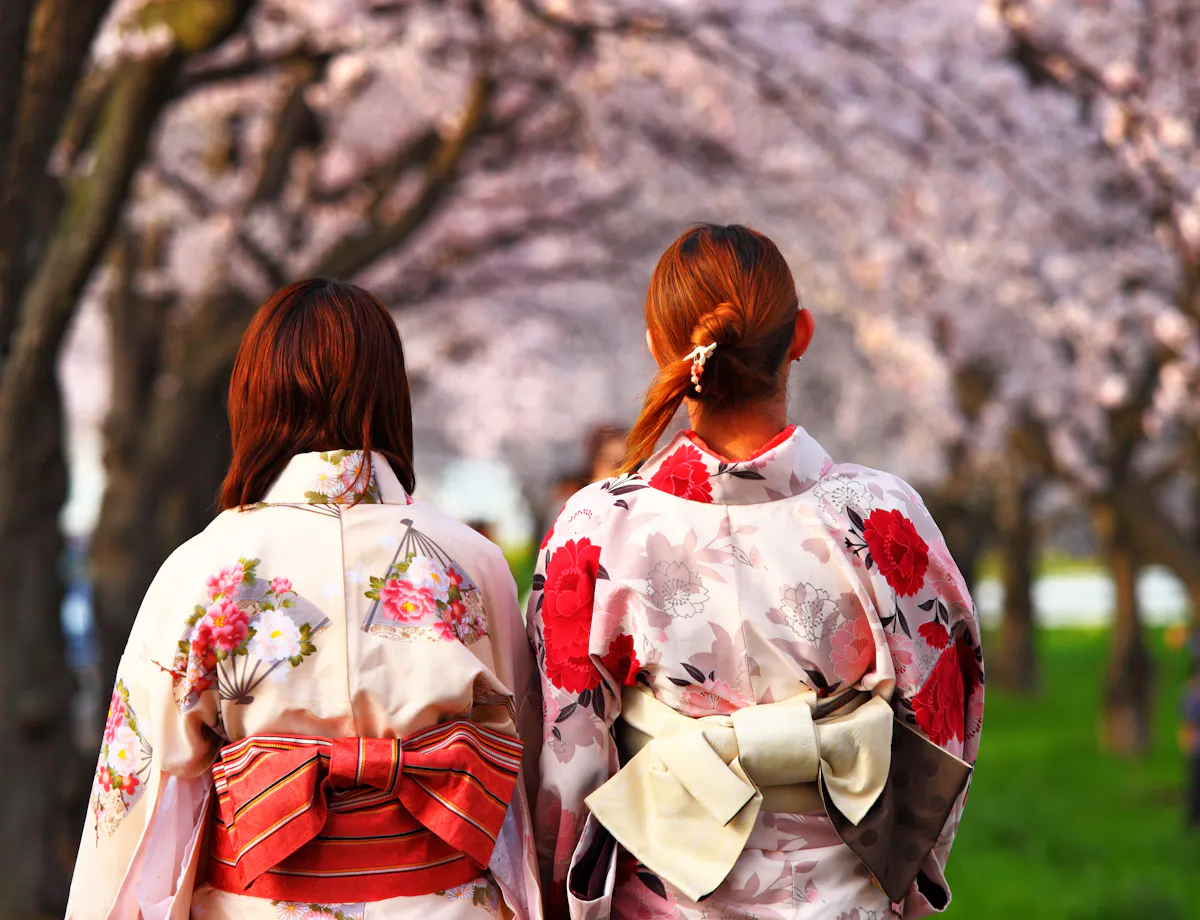 Kimono Dressing Kimono Dressing