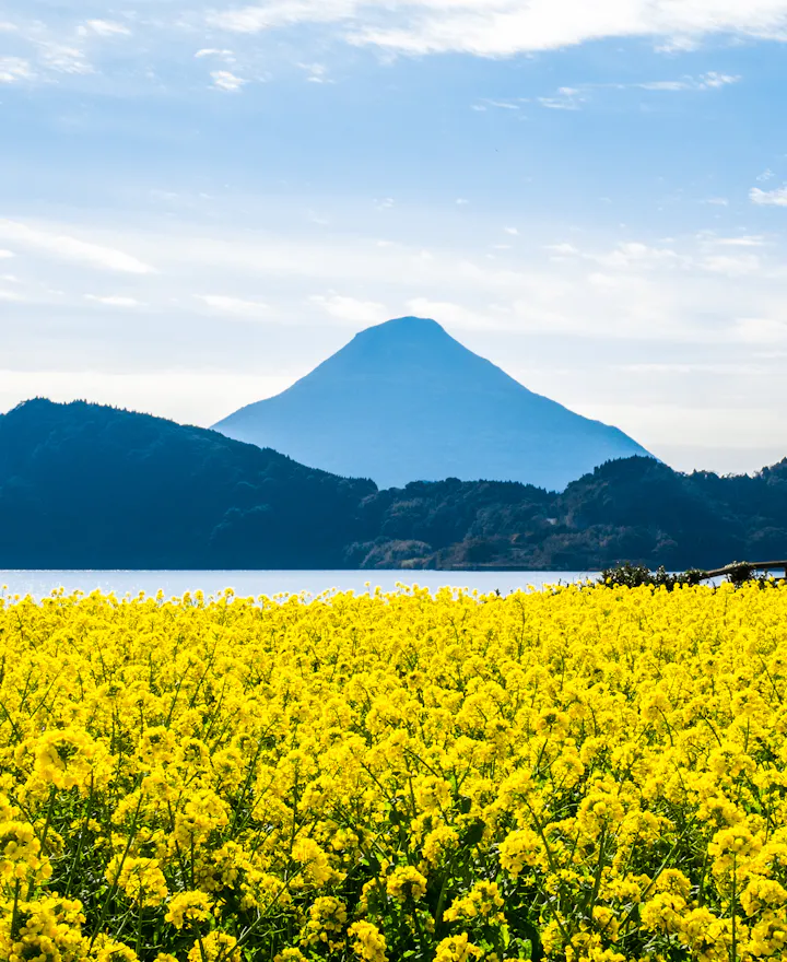 Ibusuki Ibusuki overview