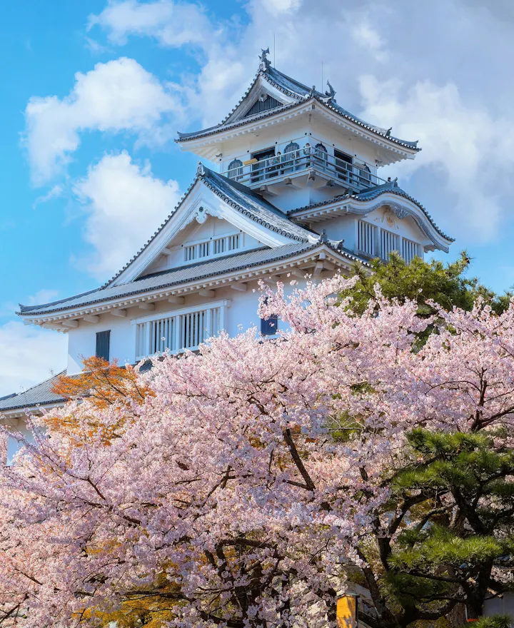 Nagahama Nagahama overview