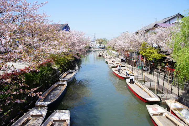 Yanagawa overview