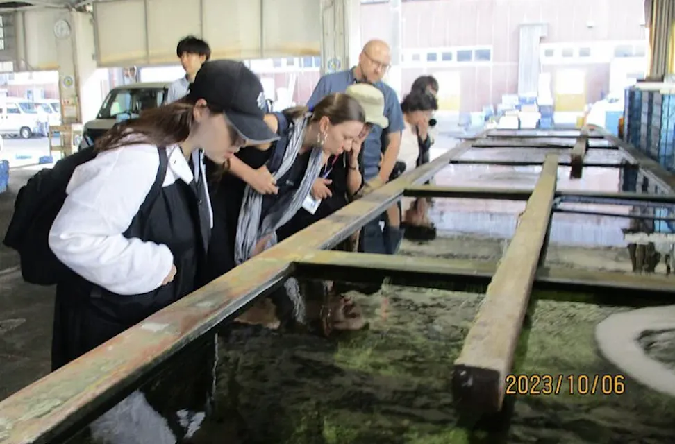 Izumisano Tour Izumisano Tour