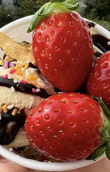 Izumisano Strawberry Picking A hand holds a bowl with three large strawberries, vanilla ice cream, chocolate sauce, sprinkles, and wafer pieces outdoors with grass and plants in the background.