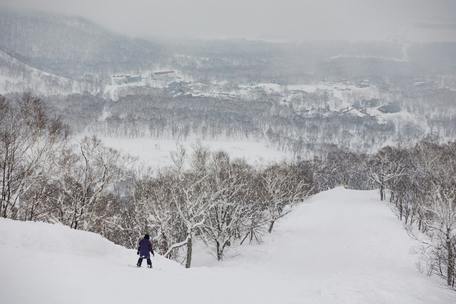 Niseko United