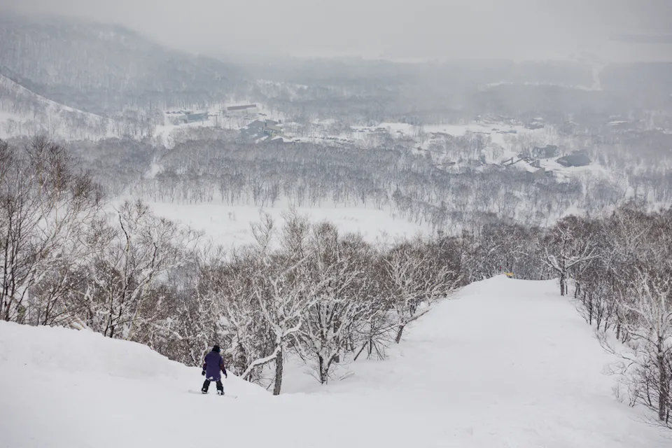 Niseko United