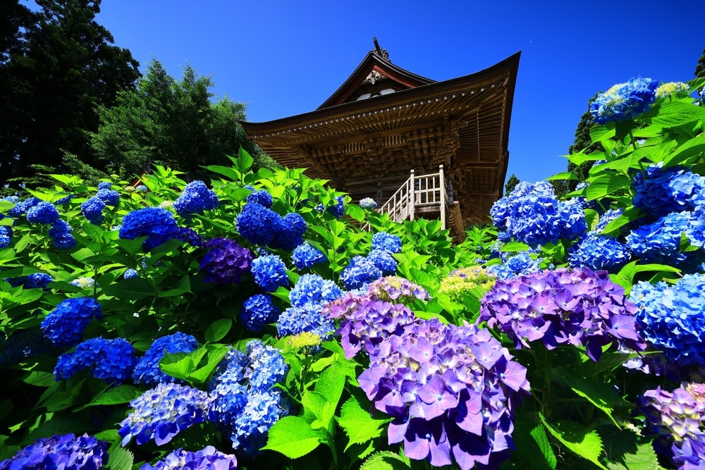 Shimizu Temple