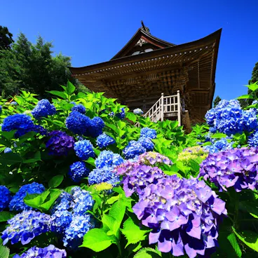 Shimizu Temple Shimizu Temple