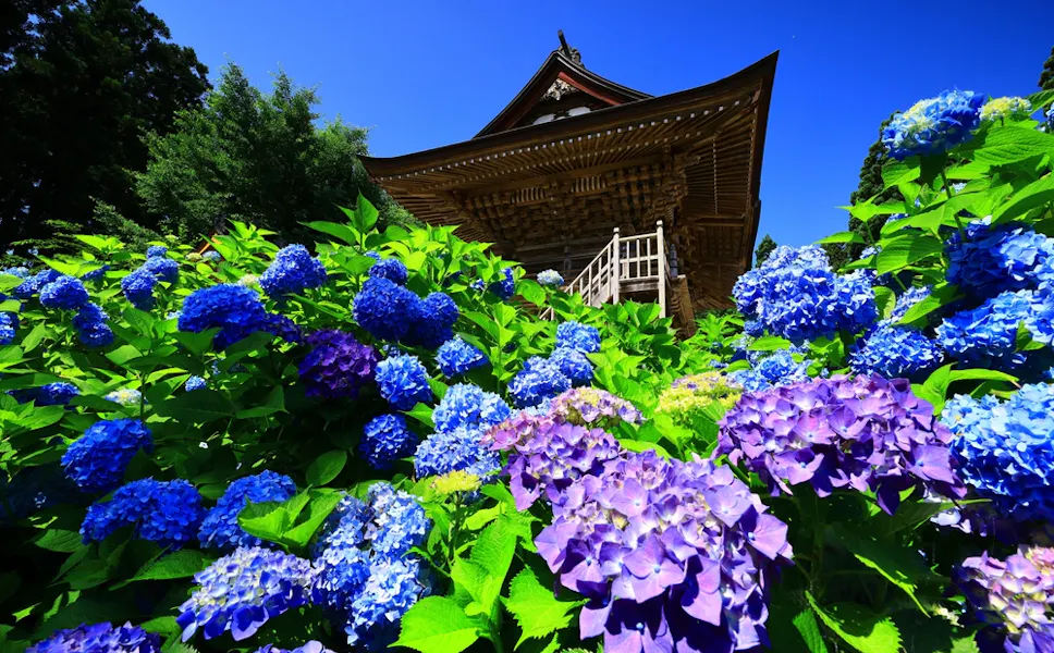 Shimizu Temple Shimizu Temple