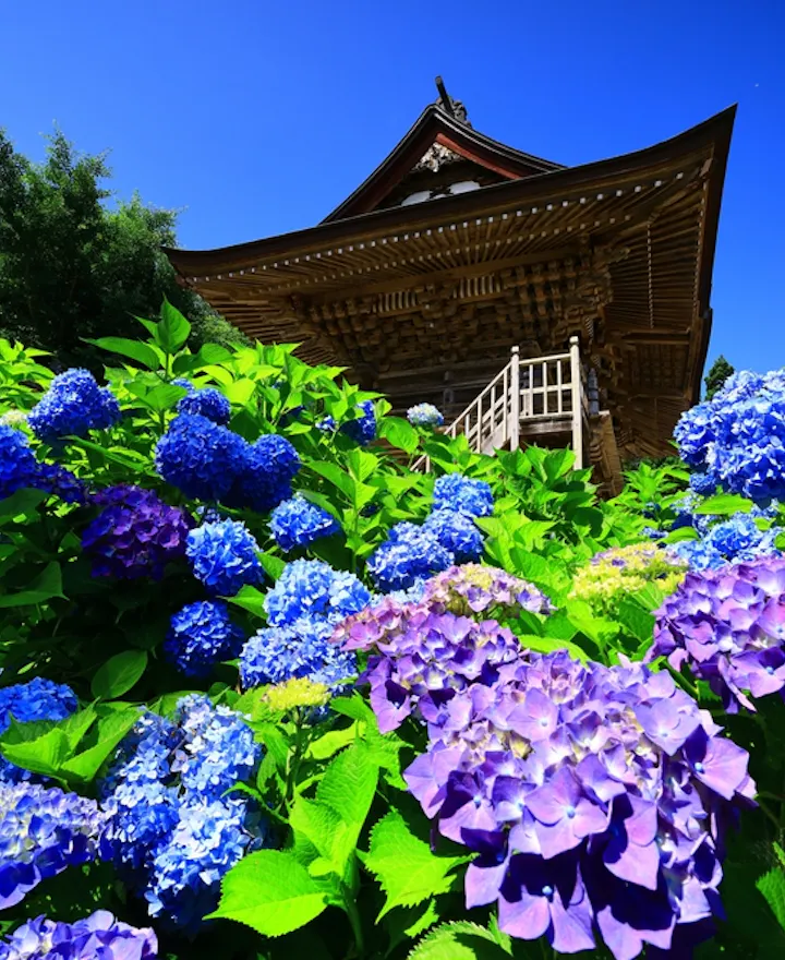 Shimizu Temple Hanamaki overview