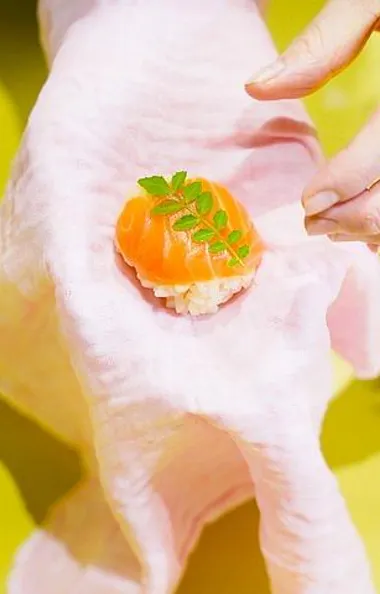 Sushi Making Sushi Making