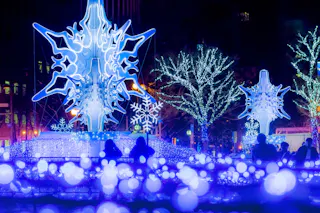 Glowing blue and white holiday lights decorate trees and large snowflake-shaped sculptures at night, with people silhouetted among illuminated orbs in a festive outdoor display.