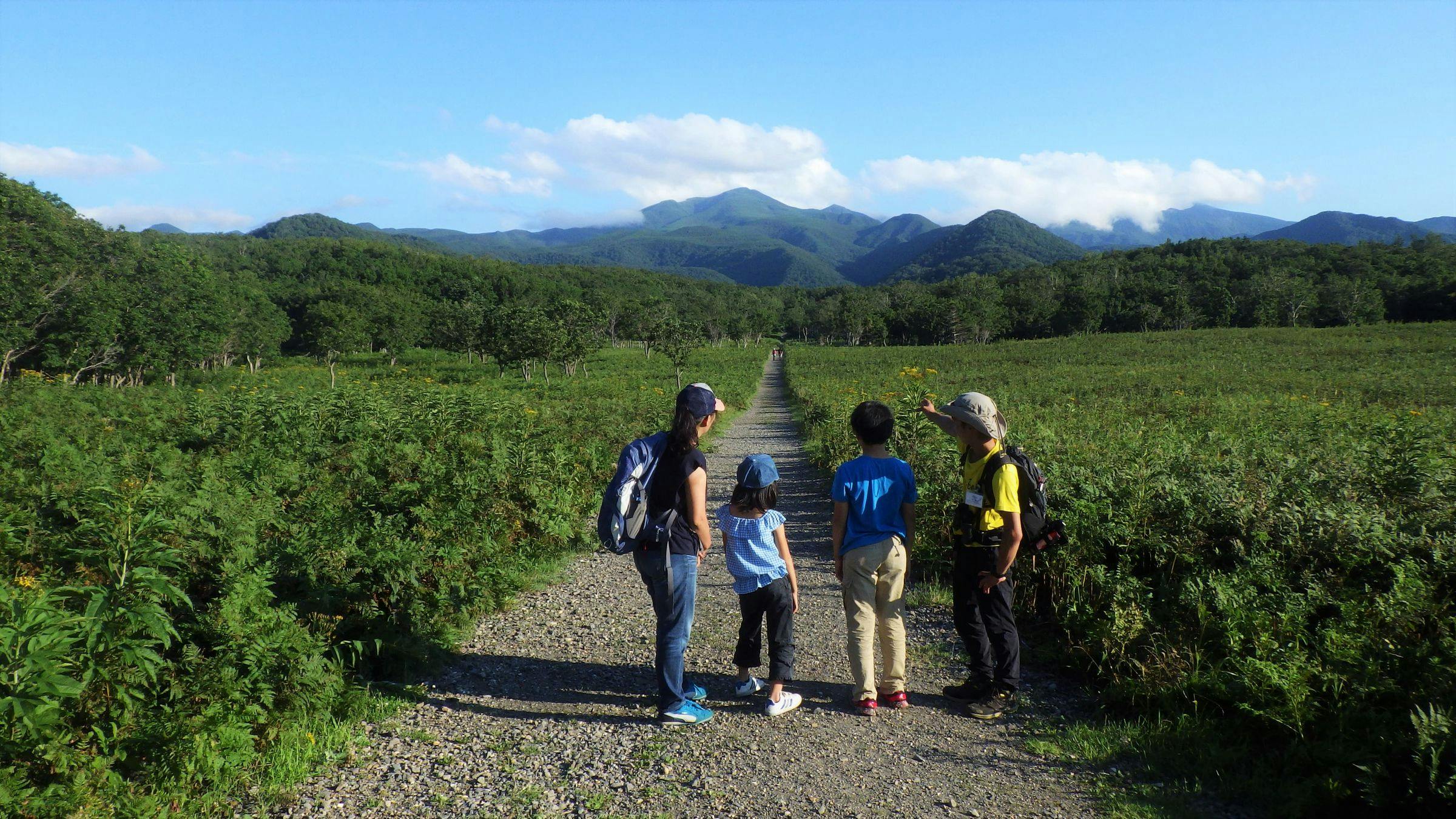 Four people with backpacks stand on a gravel path in a lush green field, surrounded by trees, looking toward distant mountains under a blue sky with scattered clouds.
