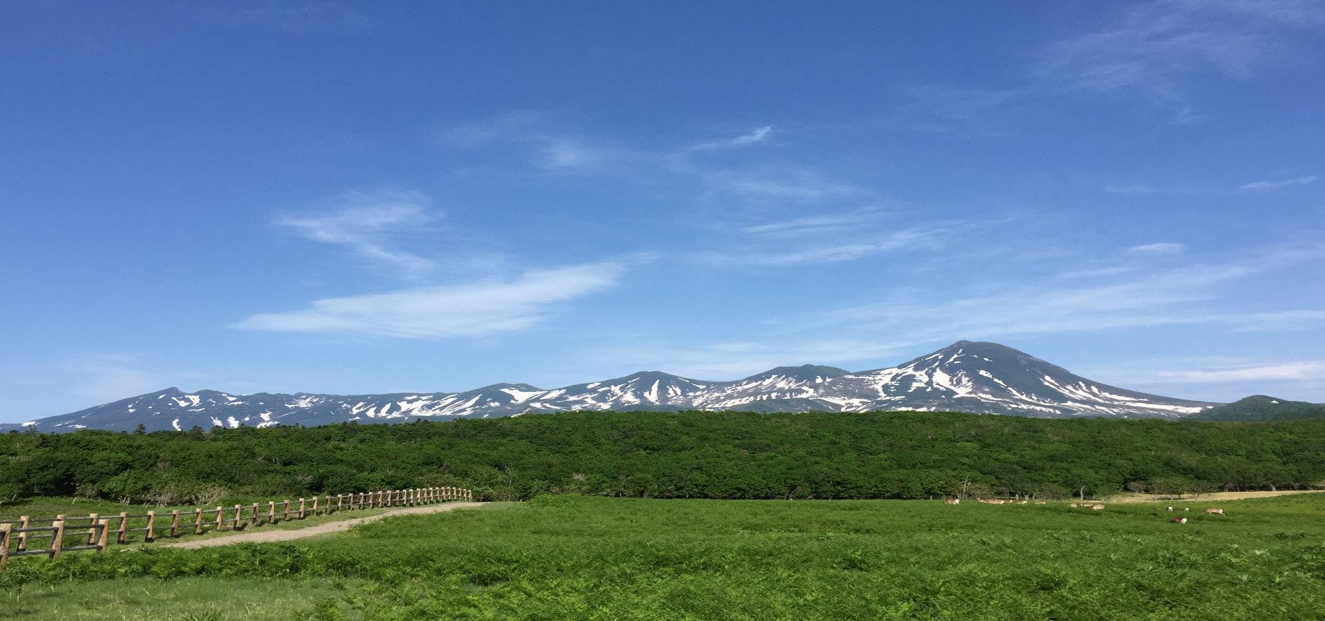 A wide landscape of green fields with a wooden fence, dense green forest, and snow-capped mountains under a clear blue sky with scattered clouds.