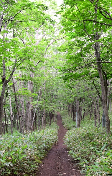 Furepe Waterfall Tour Furepe Waterfall Tour