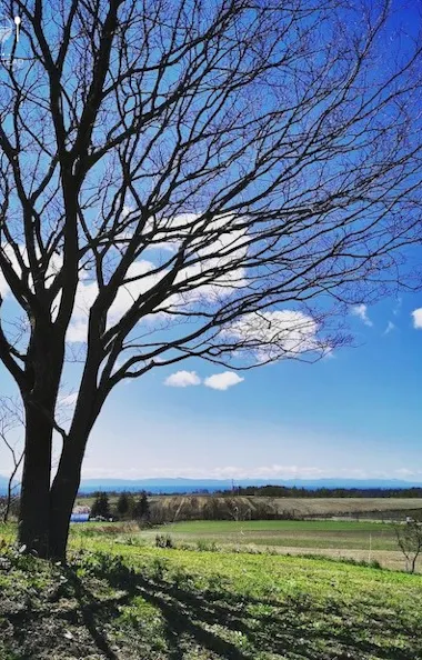 Hokkaido Nature and Gourmet Experience Hokkaido Nature and Gourmet Experience