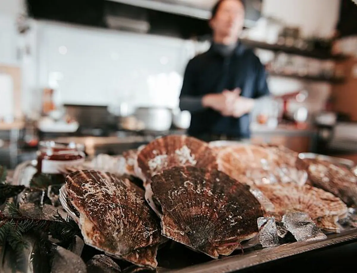 Hokkaido Gourmet Experience Hokkaido Gourmet Experience