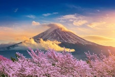 Mount Fuji Private Tour