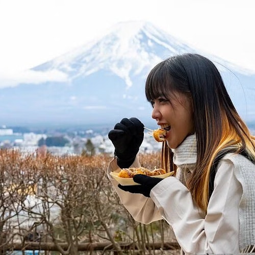 Mount Fuji Private Tour Mount Fuji Private Tour