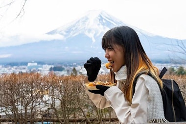 Mount Fuji Private Tour