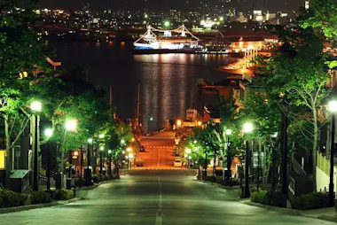 Hakodate Night Tour
