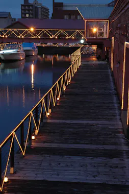 Hakodate Night Tour