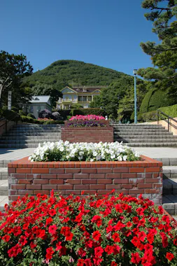 Hakodate Tour