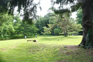 A lush, green park with scattered trees, people walking or relaxing in the background, and sunlight filtering through the branches. The scene is peaceful and spacious with a mix of shade and open grassy areas.