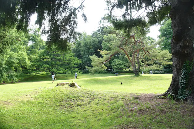 A lush, green park with scattered trees, people walking or relaxing in the background, and sunlight filtering through the branches. The scene is peaceful and spacious with a mix of shade and open grassy areas.